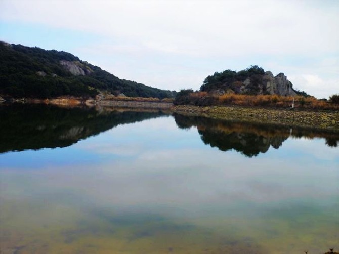 上张高背岩pp