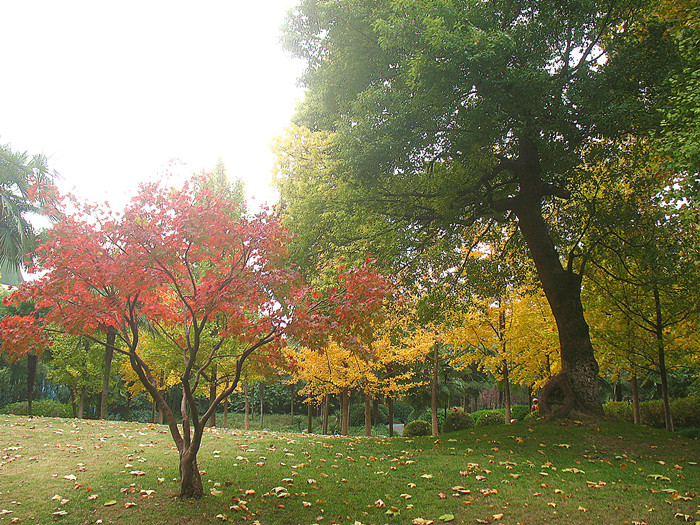 2013冬杭城艺术节系列 040_.jpg