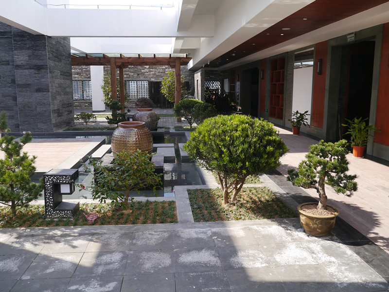 顶层小公园_副本.jpg