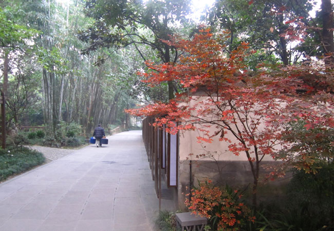 IMG_8721.JPG