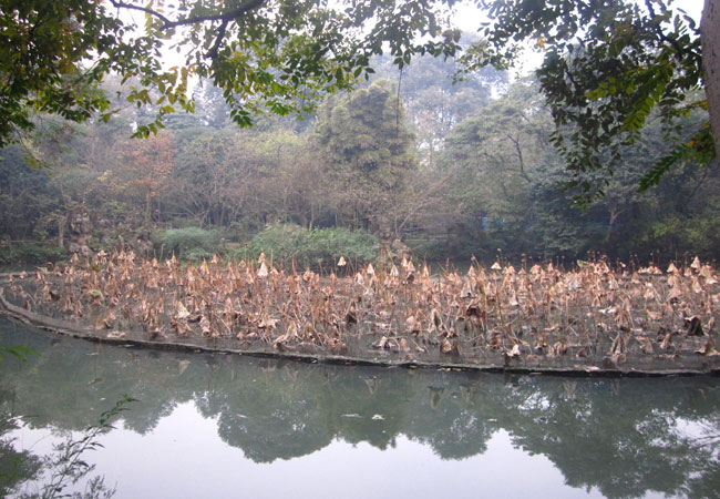 IMG_8726.JPG