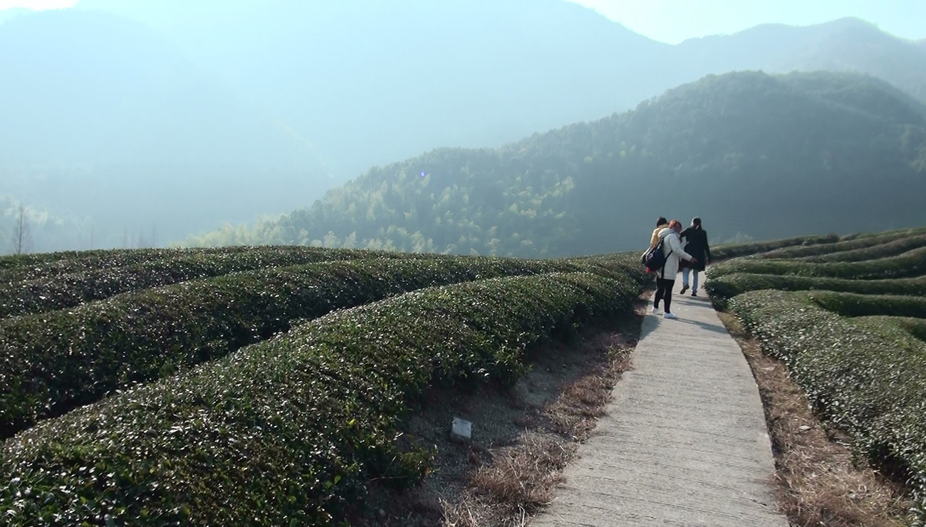 灵岩山 (5).jpg
