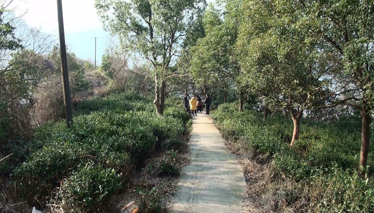灵岩山 (149).jpg