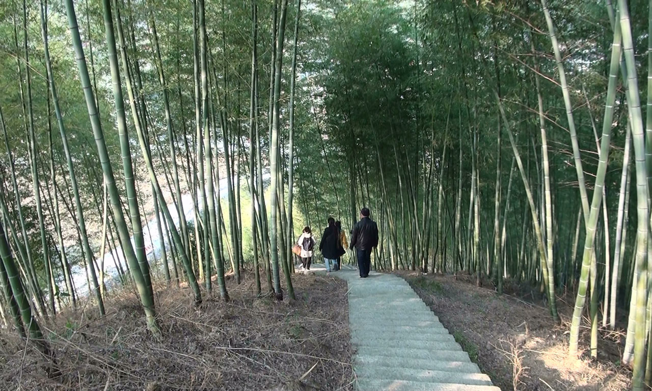 灵岩山 (165).jpg