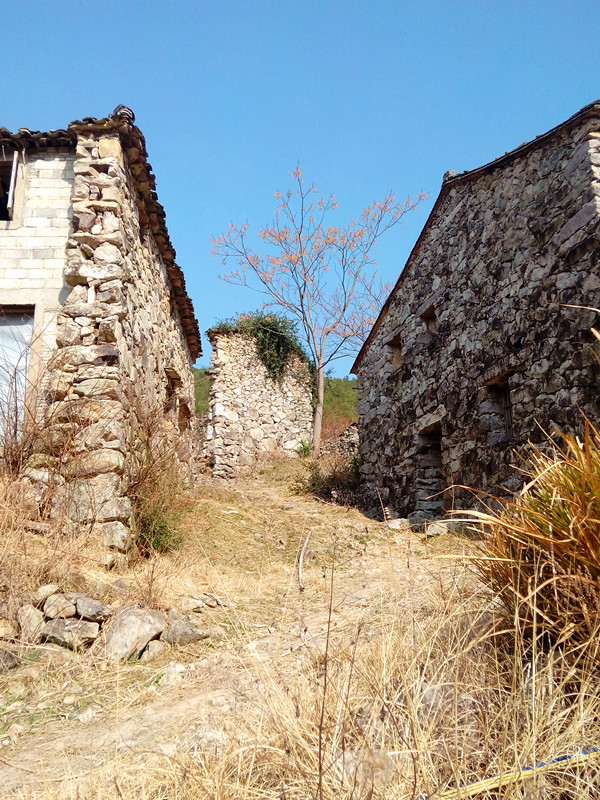 桐坑5.jpg