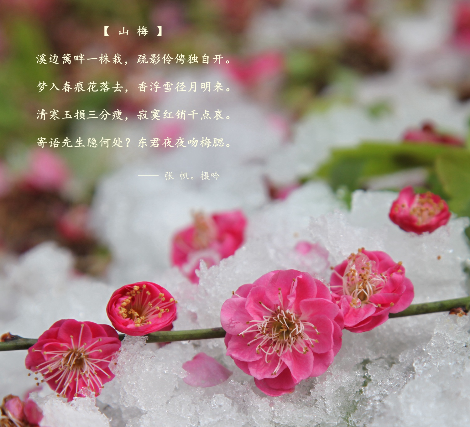 IMG_4133 - 副本 - 副本 - 副本.JPG
