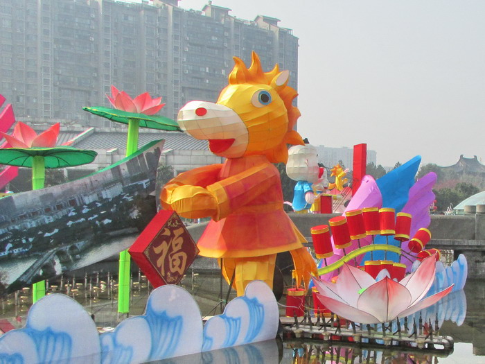 IMG_7907.jpg