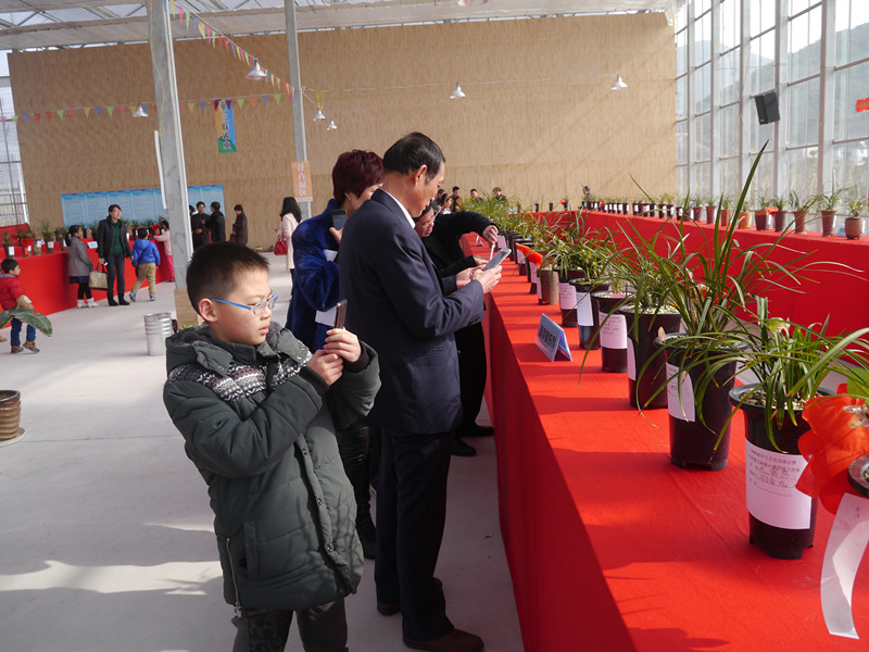 P1180995_副本.jpg