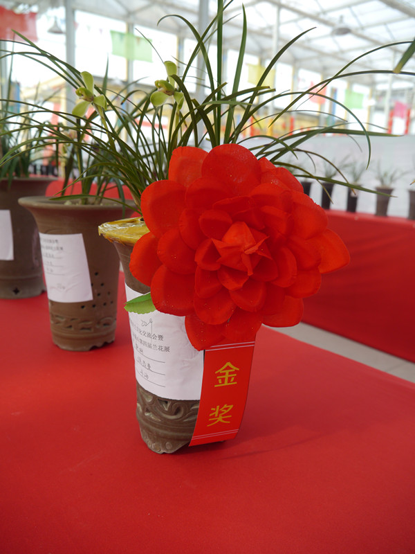 P1180988_副本.jpg