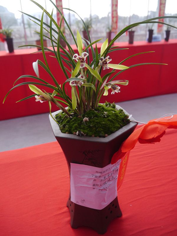 P1180997_副本.jpg