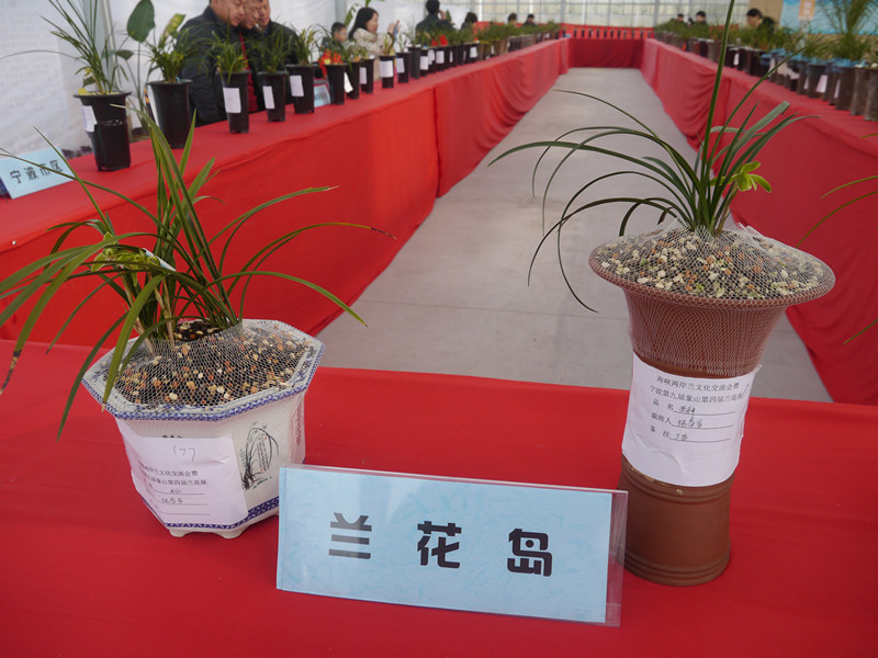 P1180980_副本.jpg
