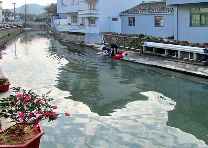 IMG_8735.jpg