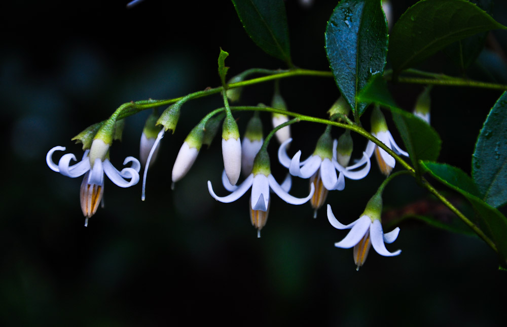 DSC_1201.jpg