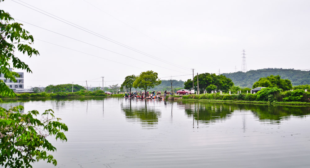 DSC_1382.jpg