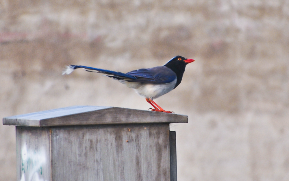 DSC_2843.jpg