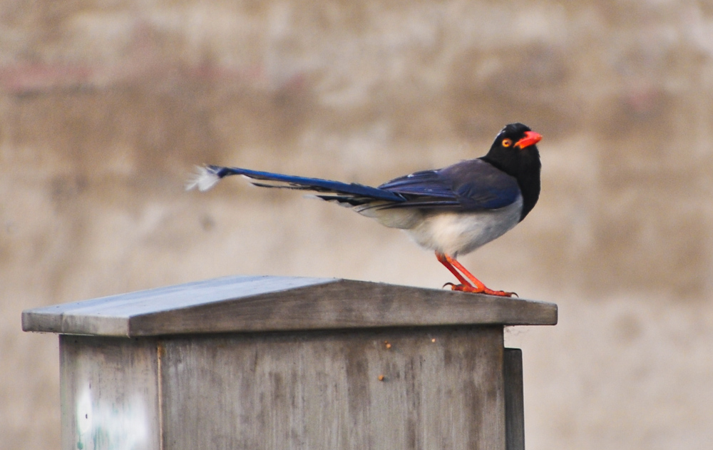 DSC_2844.jpg
