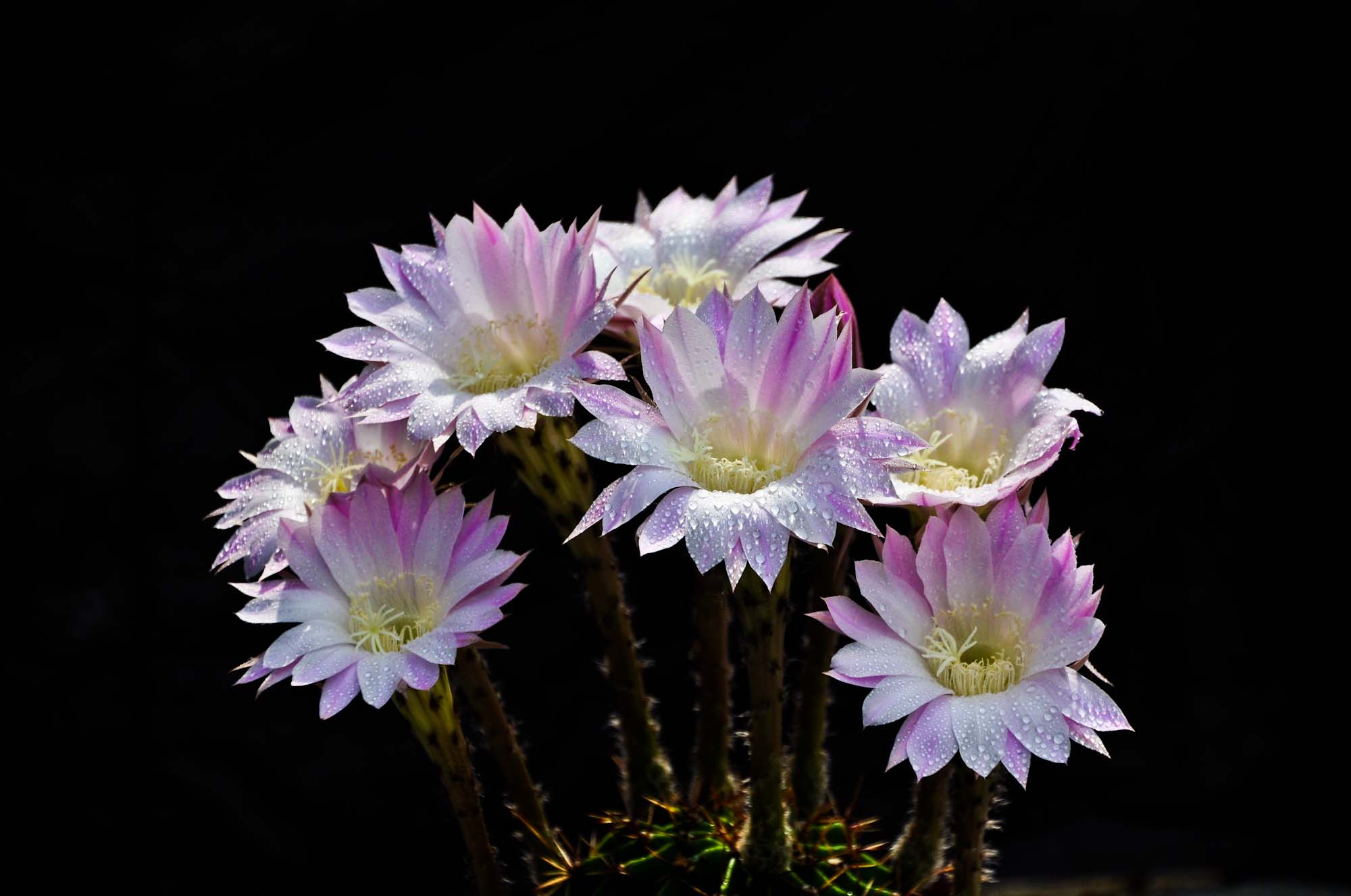 DSC_3568.jpg