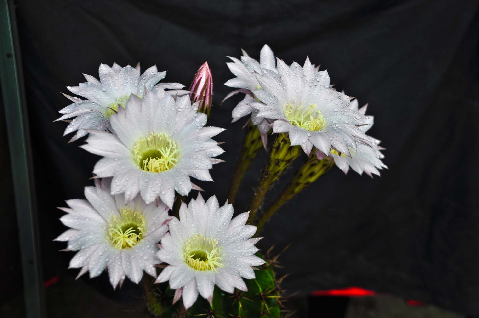 DSC_3574.jpg