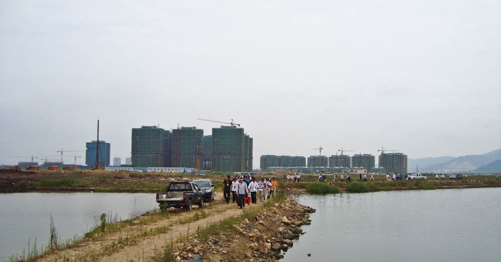 DSC07000.jpg