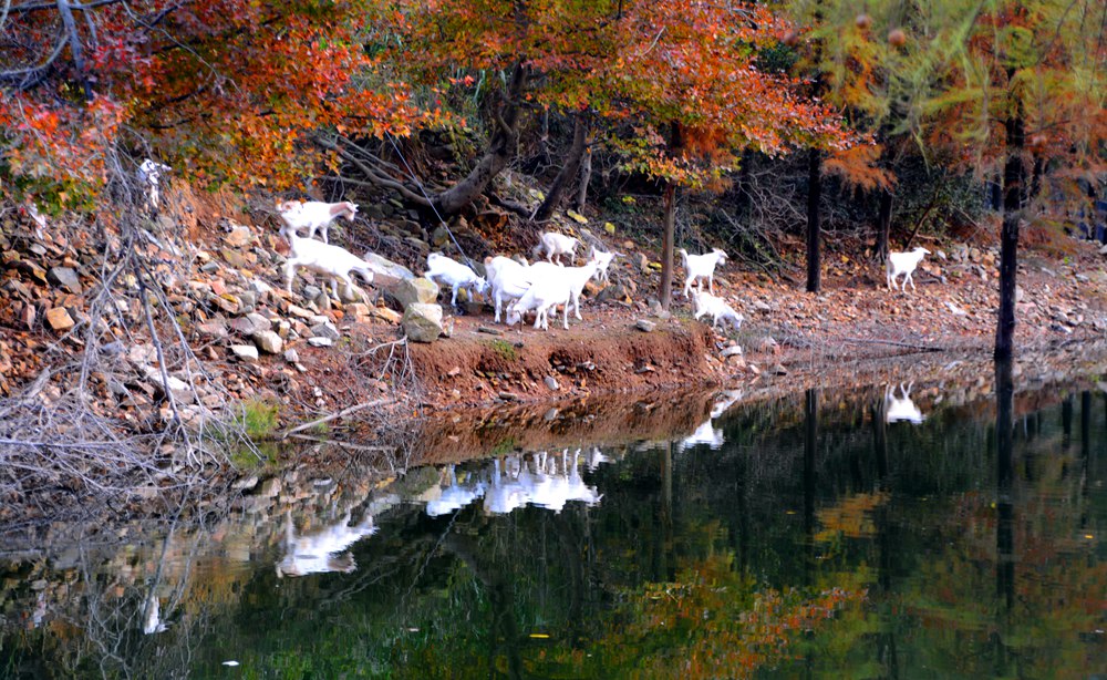 DSC_2565.jpg