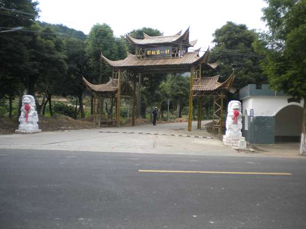 养着的 023_副本.jpg