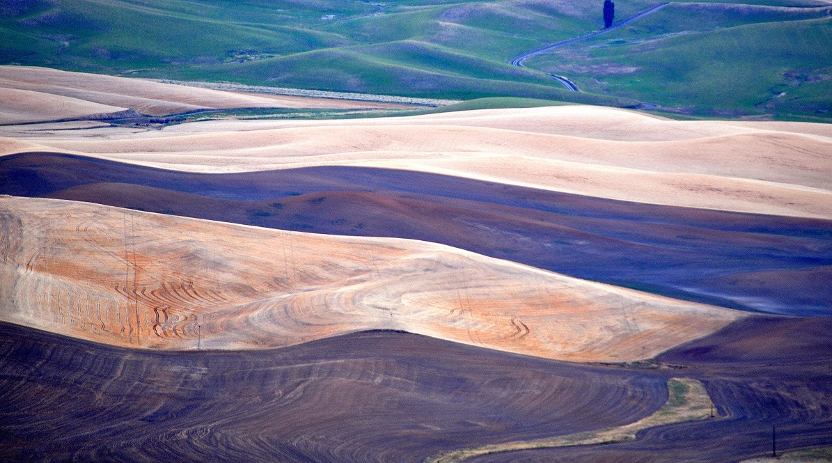 Steptoe Butte