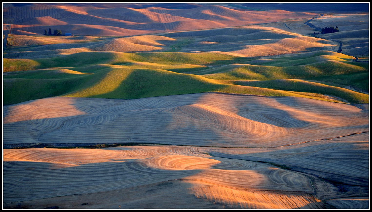 Steptoe Butte