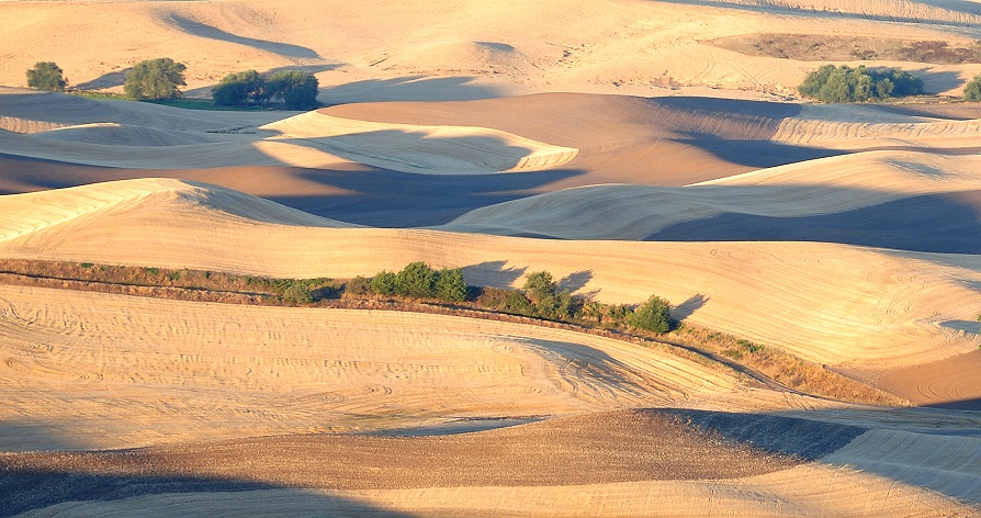 Steptoe Butte