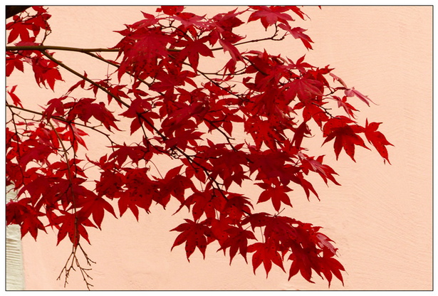 L1040416_副本.jpg