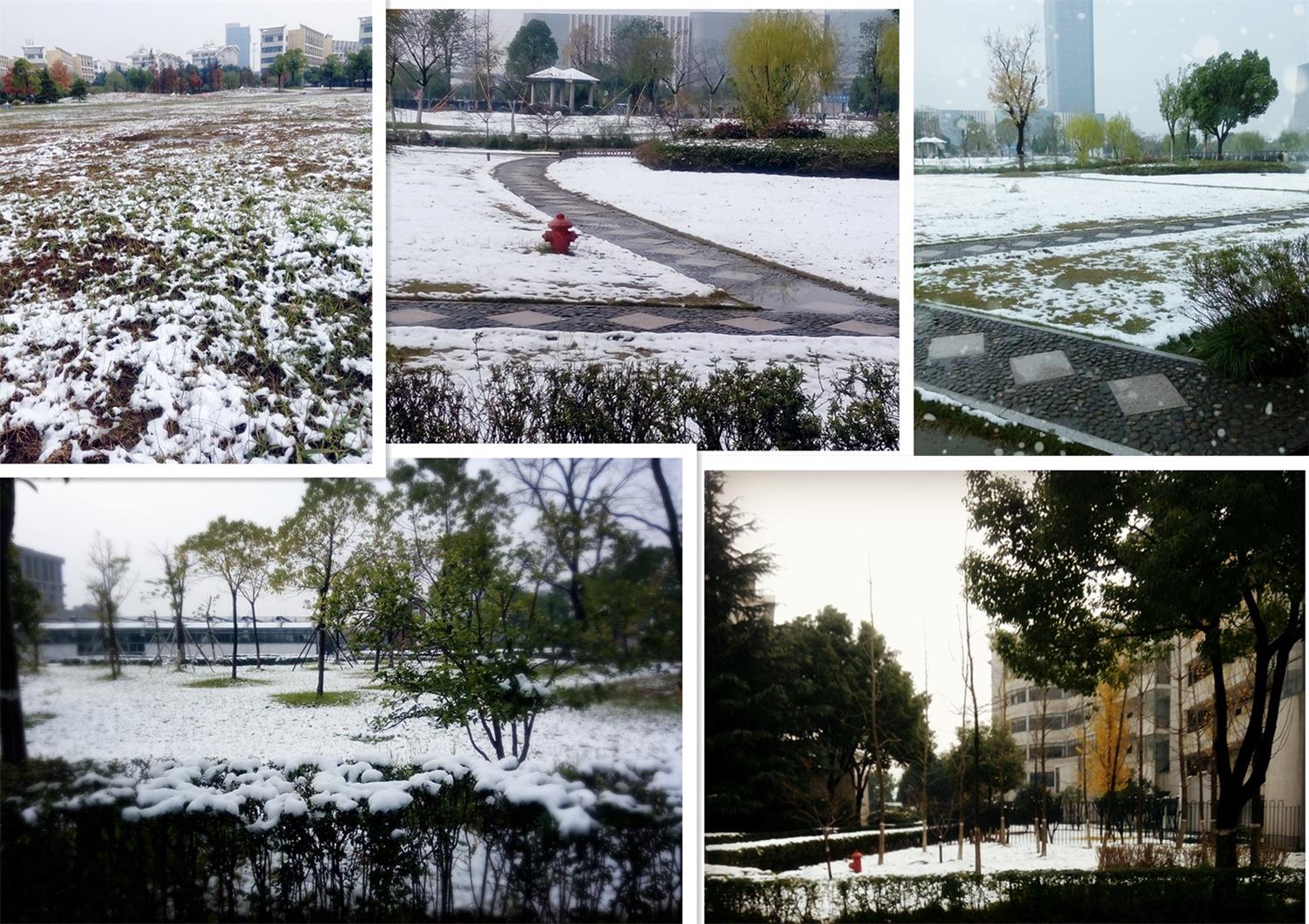 未命名3.jpg