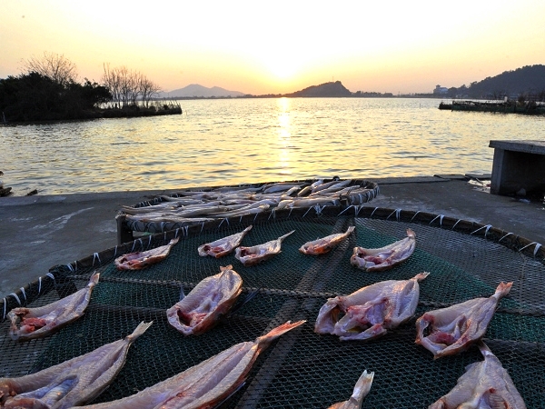 u62725206_12de99ef2c0g215_看图王.jpg