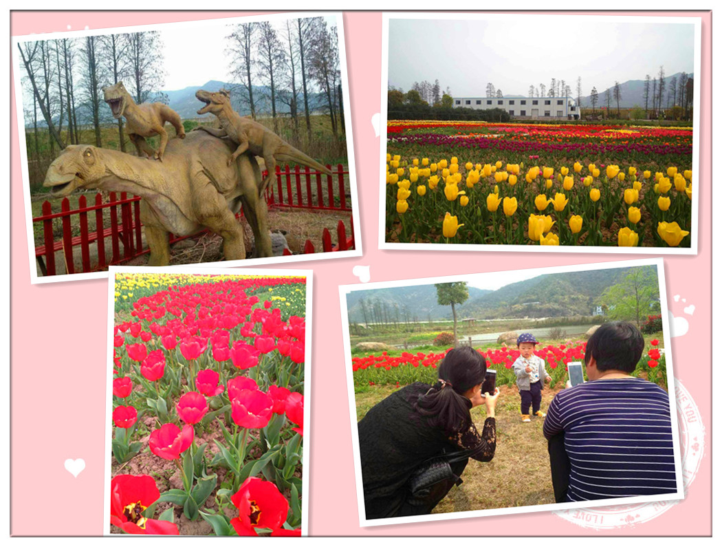 FCD517D59098F1936AEECB1867515039_副本.jpg