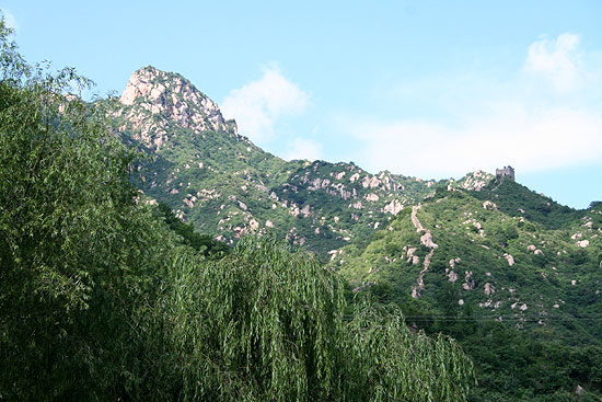 IMG_8285.jpg