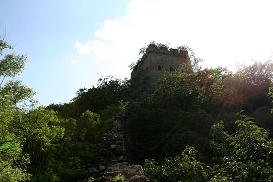 IMG_8306.jpg