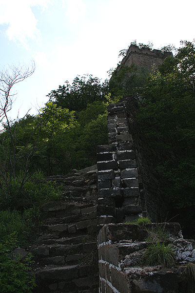 IMG_8317.jpg