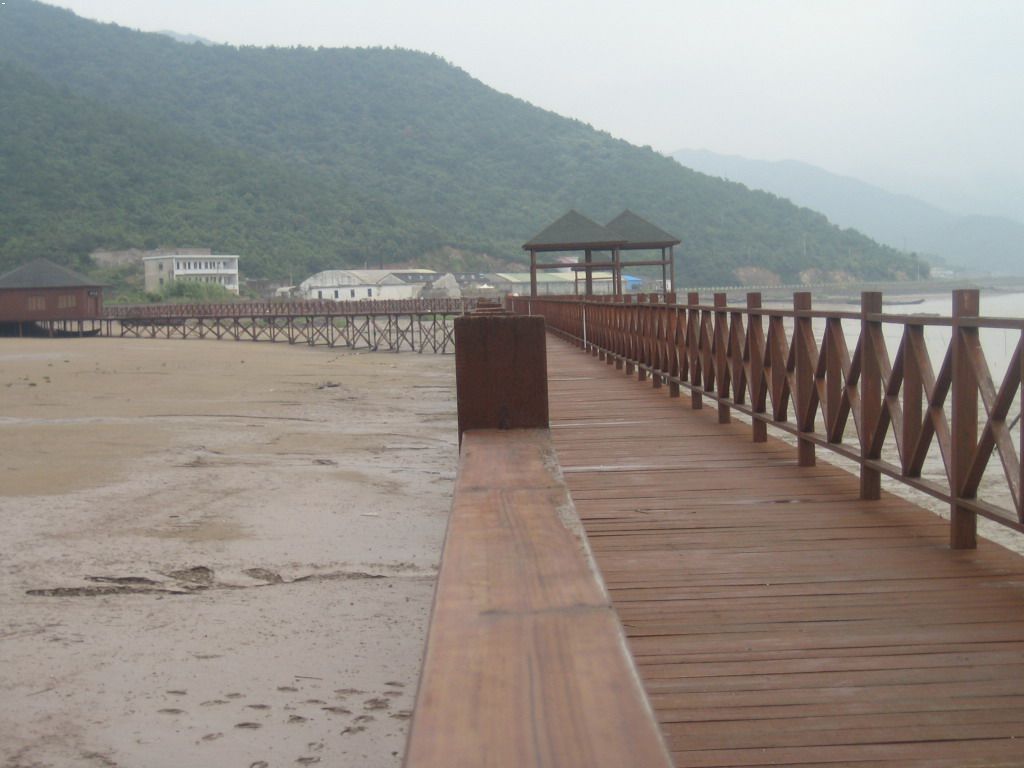 920133271.jpg