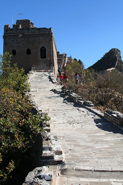 IMG_0833.jpg