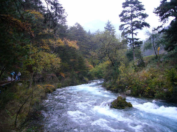 P1000590.JPG