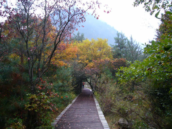 P1000605.JPG