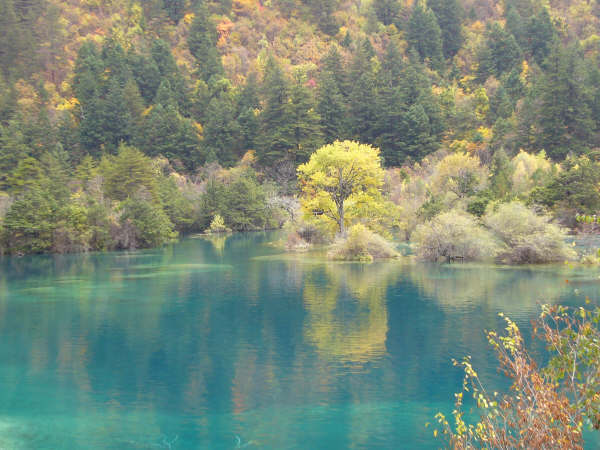 P1000812.JPG