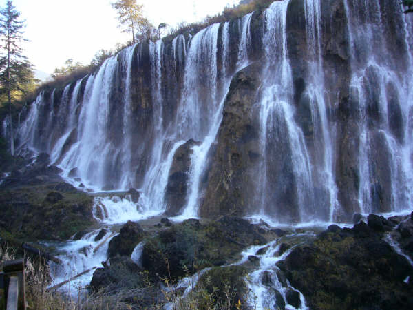P1000931.JPG