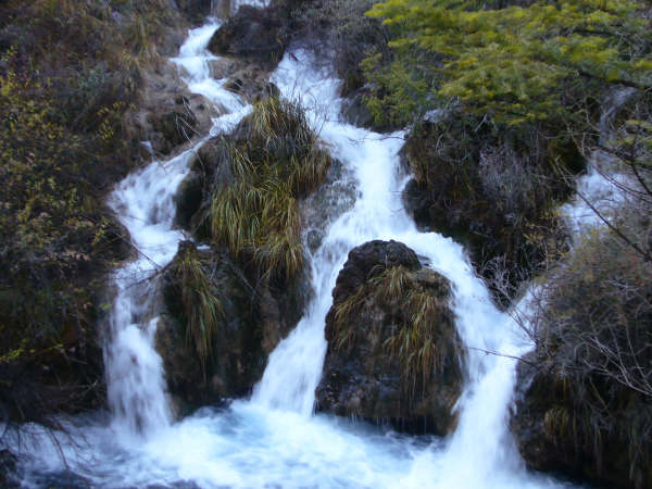 P1000936.JPG