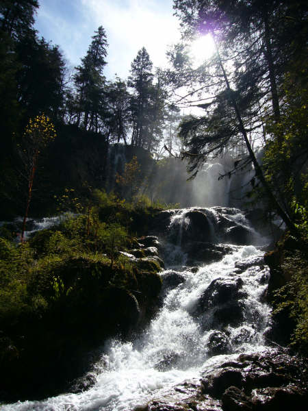 P1010109.JPG
