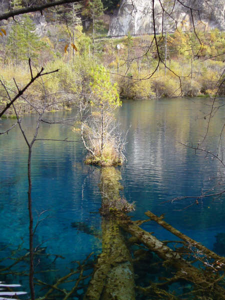 P1010145.JPG