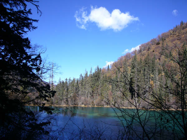 P1010209.JPG