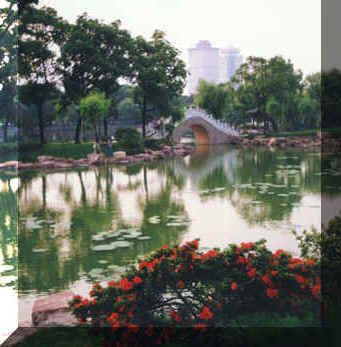 宁波月湖春.jpg