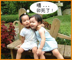 Img222532772.jpg