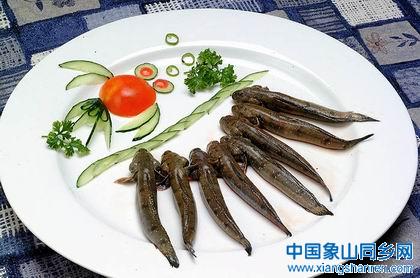弹涂鱼2.jpg