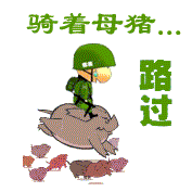 14_39752_b51abaf70f7548e.gif