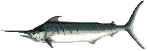 359_222583_f25eaa1368734bc.gif